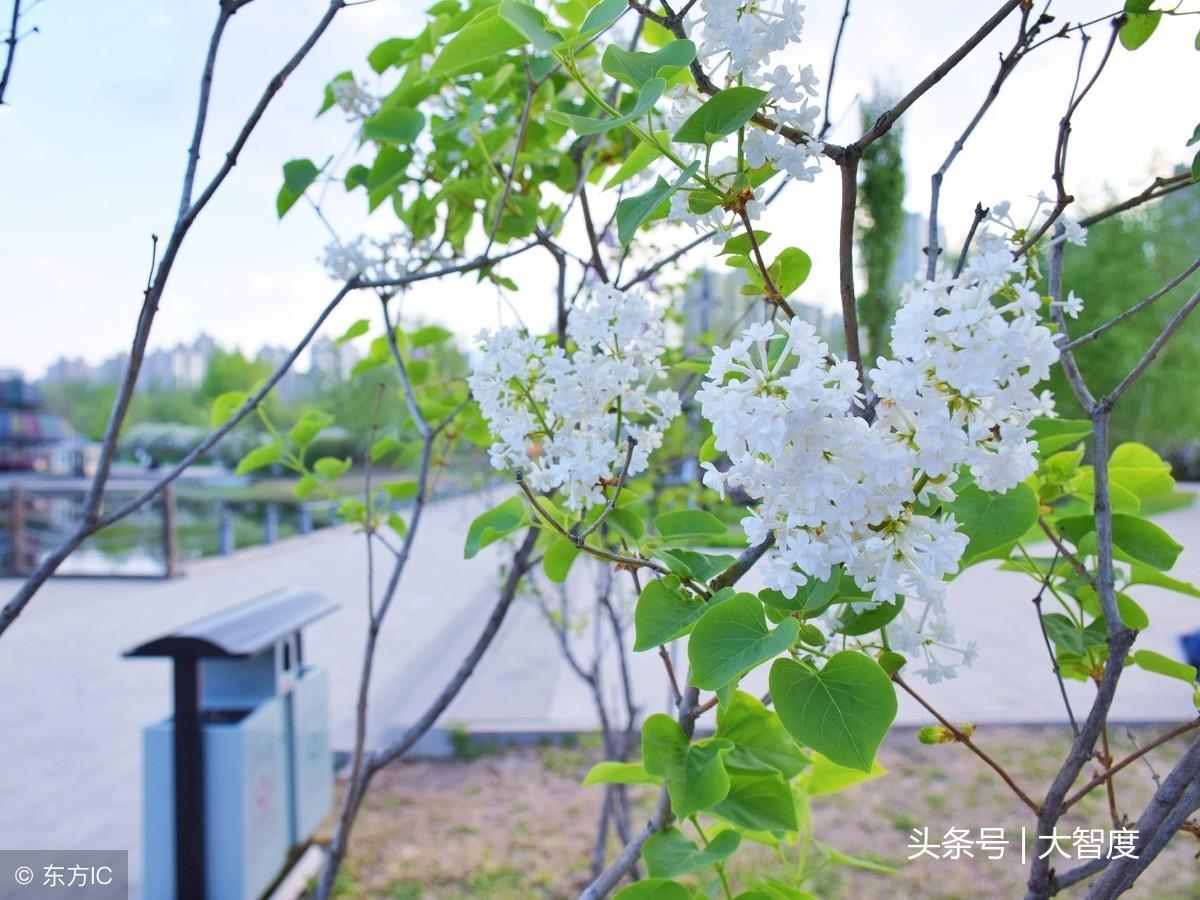 落花网，全新在线观影体验，热门电影电视剧尽在其中