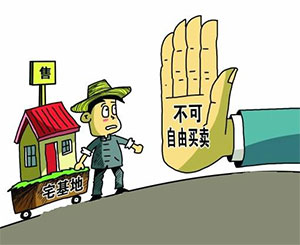 河北省宅基地最新政策解读与解析