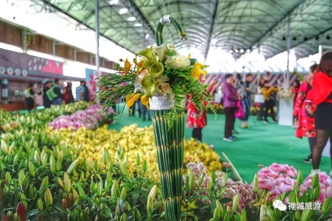 南海风云花花世界2安卓最新版本游戏解析与体验指南