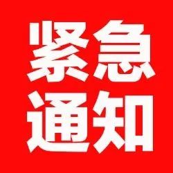 今日全球科技、经济与社会动态深度解析最新消息