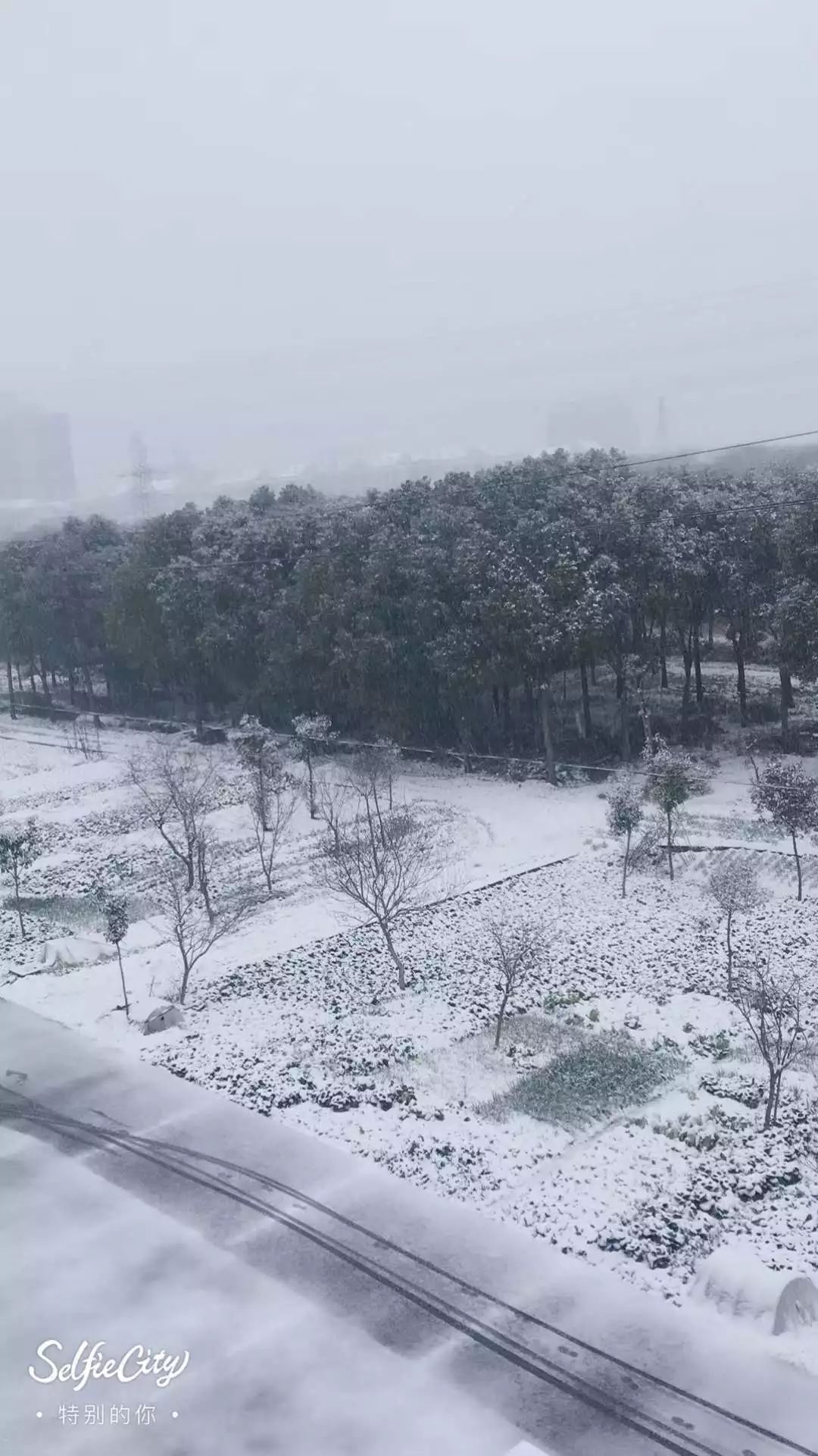 最新雪的盛宴，纯净之美的降临