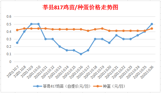 今日鸡苗市场深度解析，最新价格与走势分析