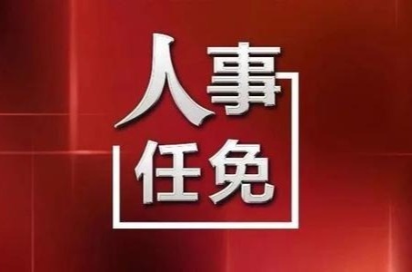 河北省最新人事任免动态概览