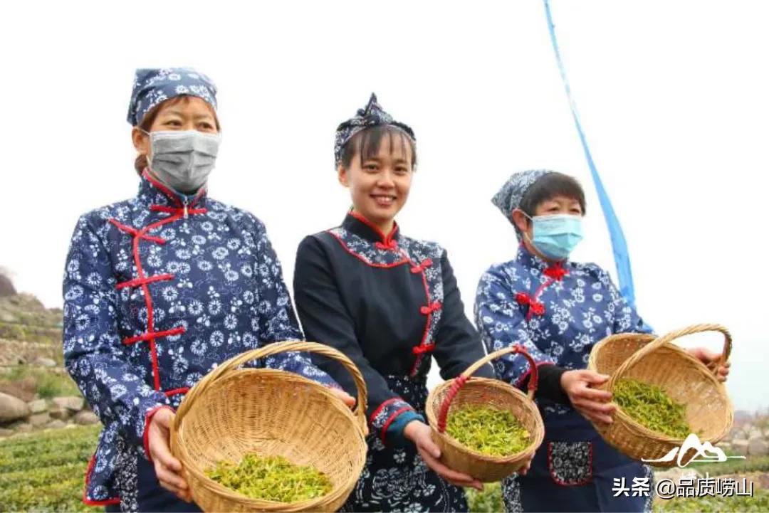 青岛崂山探索自然美景与文化底蕴的新篇章报道更新中