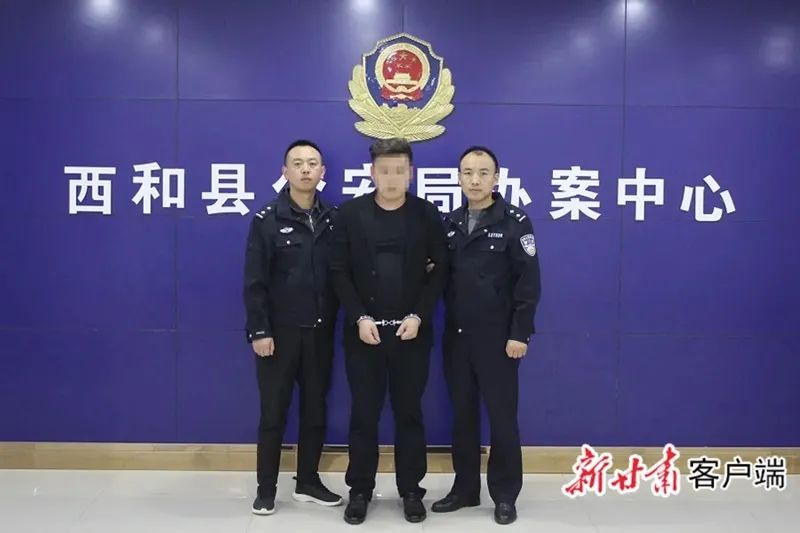 西和公安网最新消息全面解读与分析