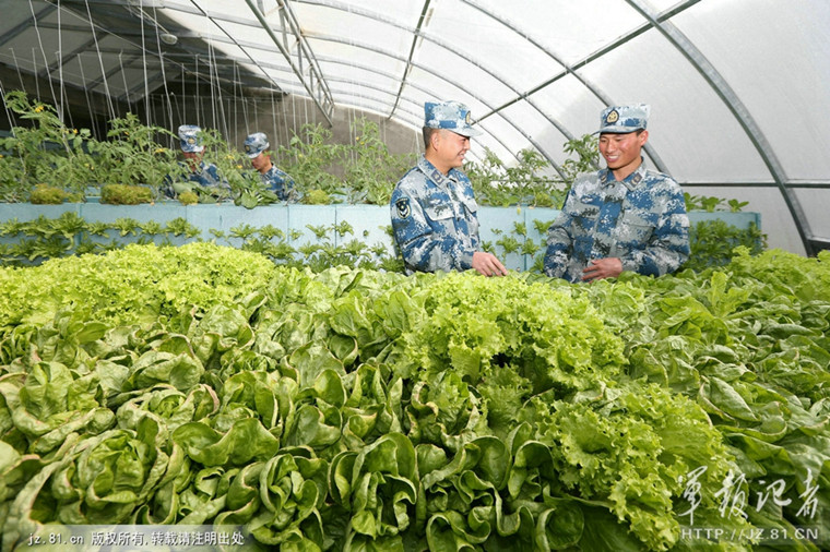 部队土地改革最新动态深度解析