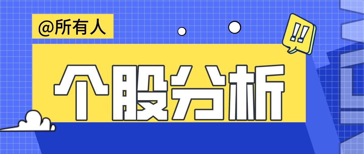 浙江美大股票最新消息深度解读与分析