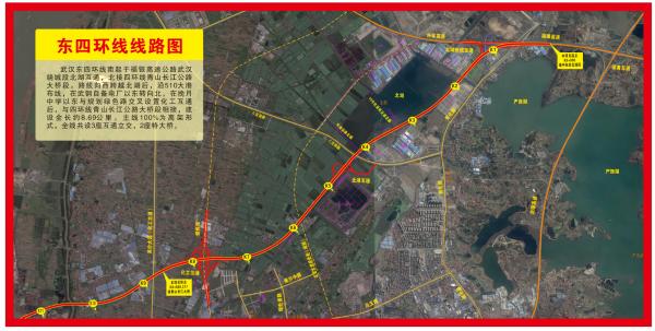 青山长江大桥最新动态全面解析