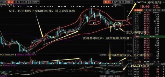 海利生物股票最新动态全面解读