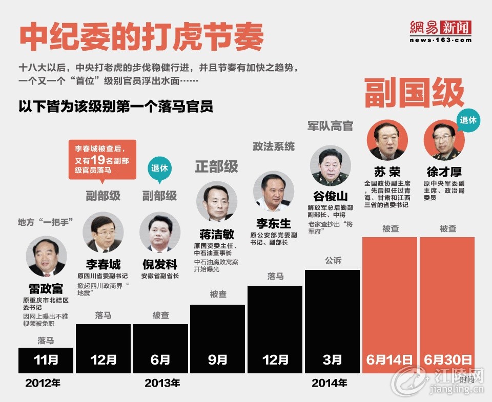 中央打击巨虎行动最新动态深度解析