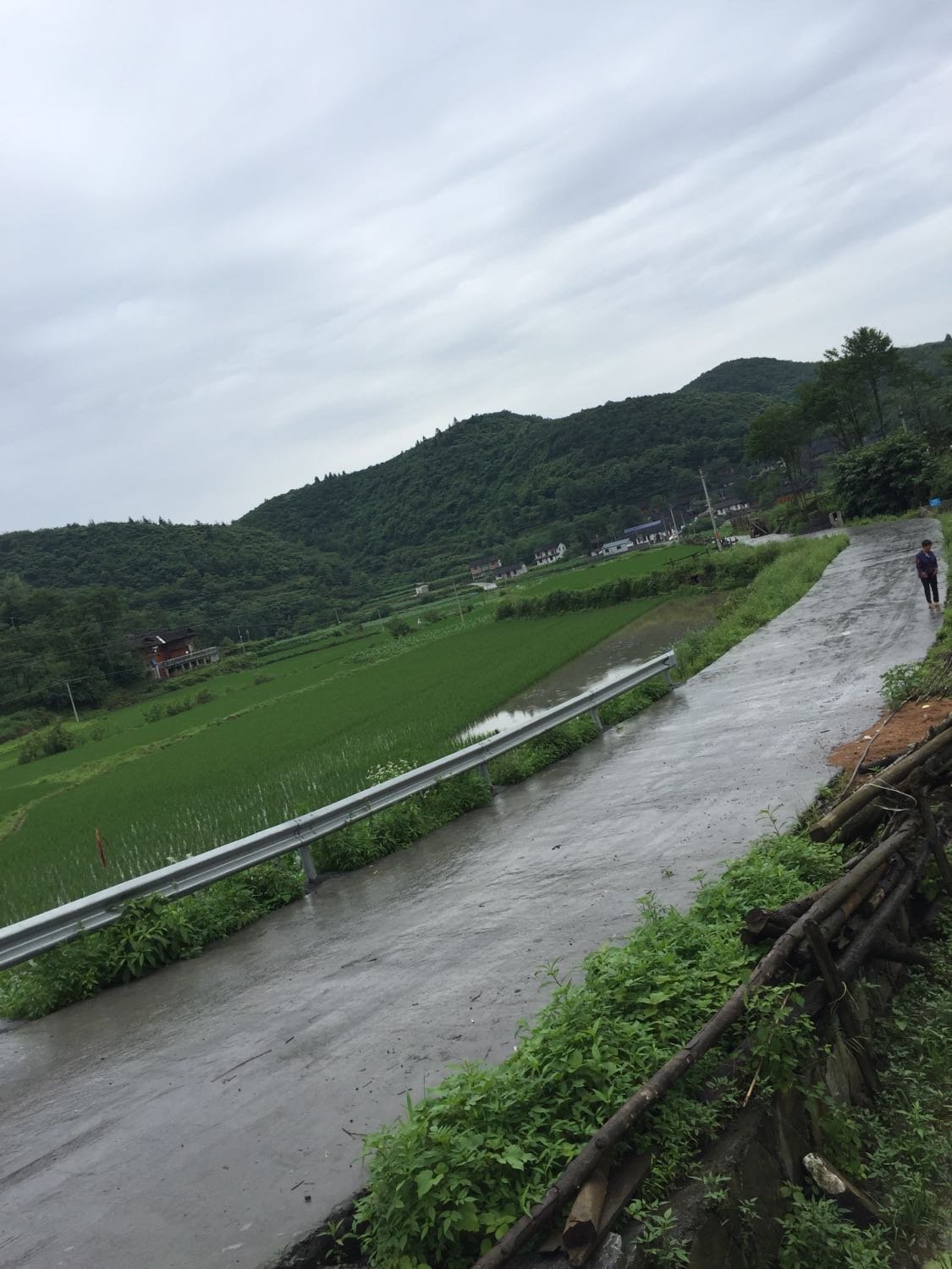 西场镇天气预报更新通知