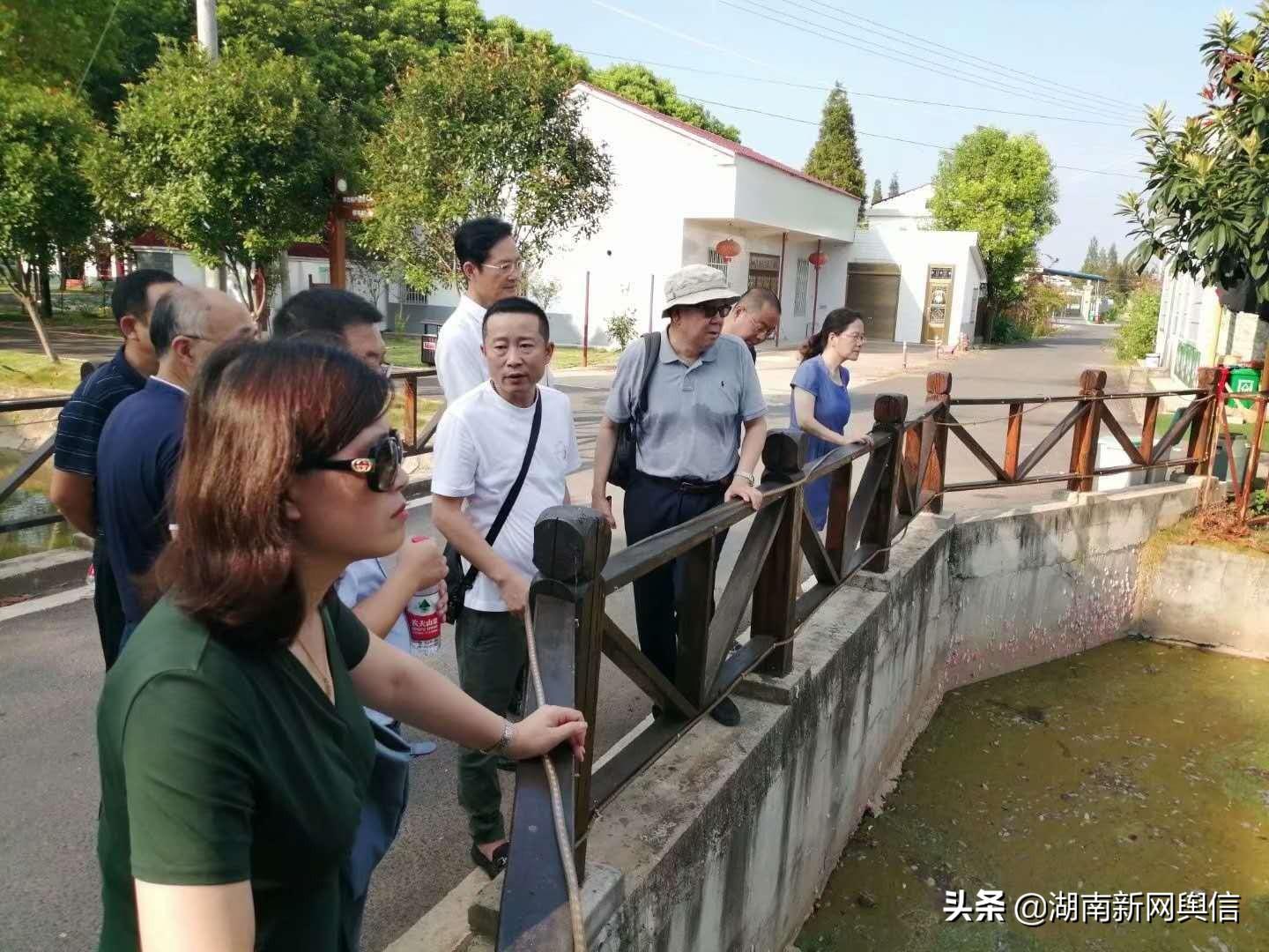 安乡县自然资源和规划局最新项目概览与动态