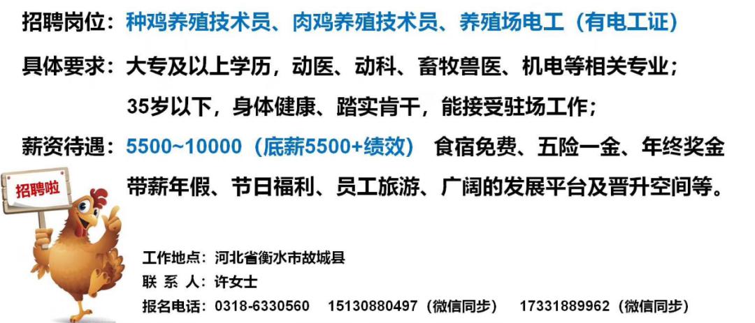 王十万乡最新招聘信息全面解析