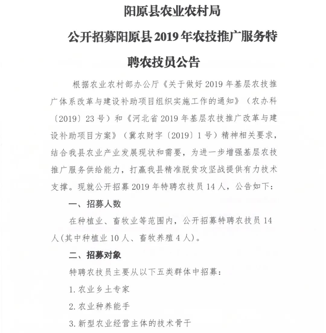 阳赛村民委员会最新招聘启事概览