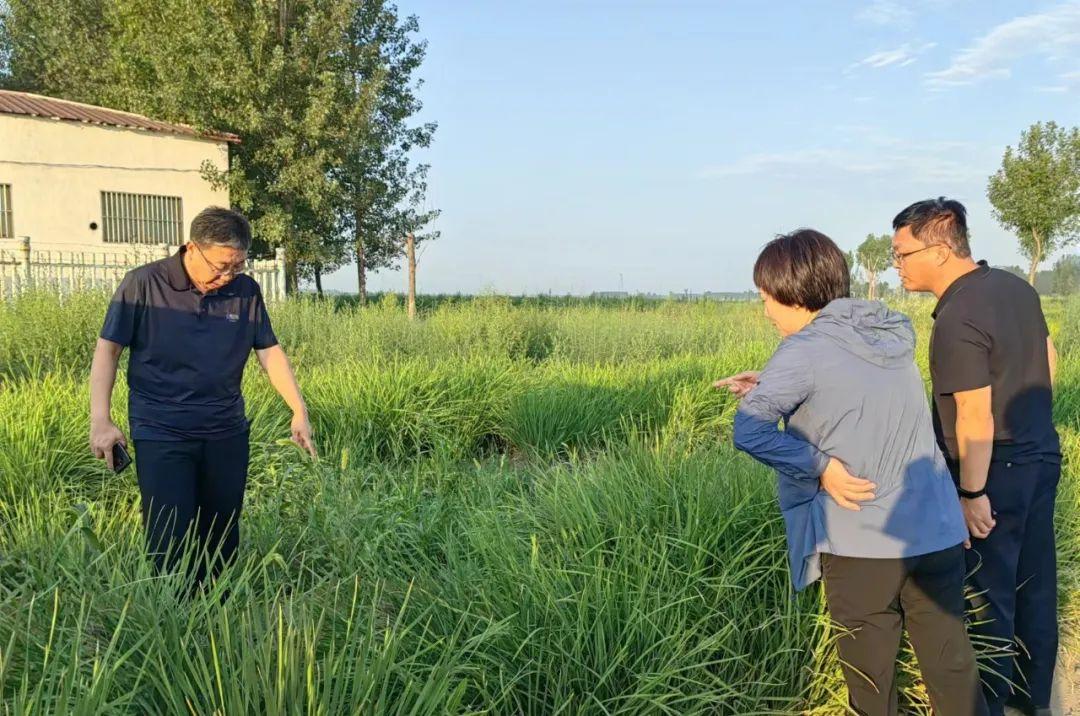 七汲镇交通状况持续改善，出行更加便捷，最新交通新闻回顾