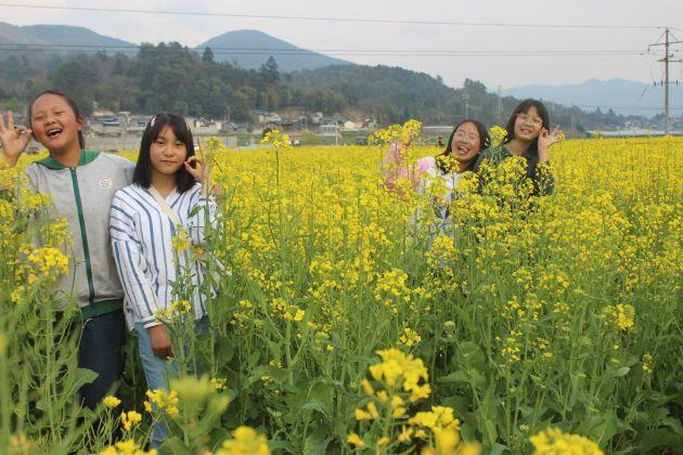 三岔河镇最新项目，先锋力量引领地方发展