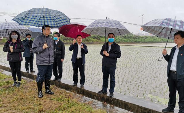 港南区农业农村局最新项目，推动农业现代化，助力乡村振兴