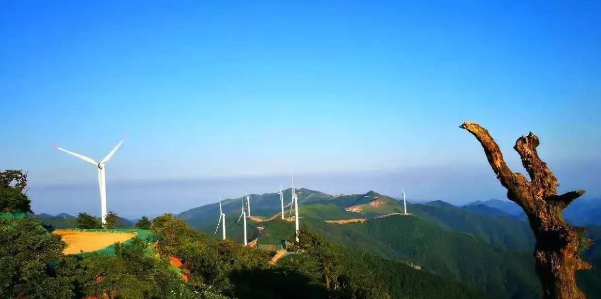 大熊山国有林场绿色生态发展项目，探索与实践