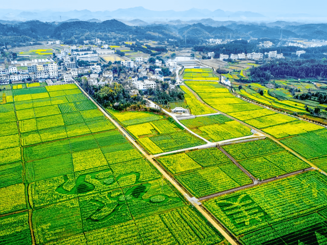 普利桥镇天气预报更新通知