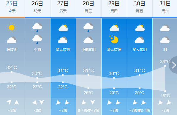 2024年12月19日 第5页