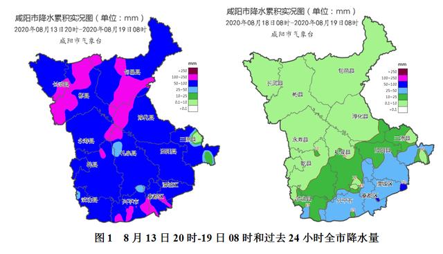 新坡镇最新天气预报详解