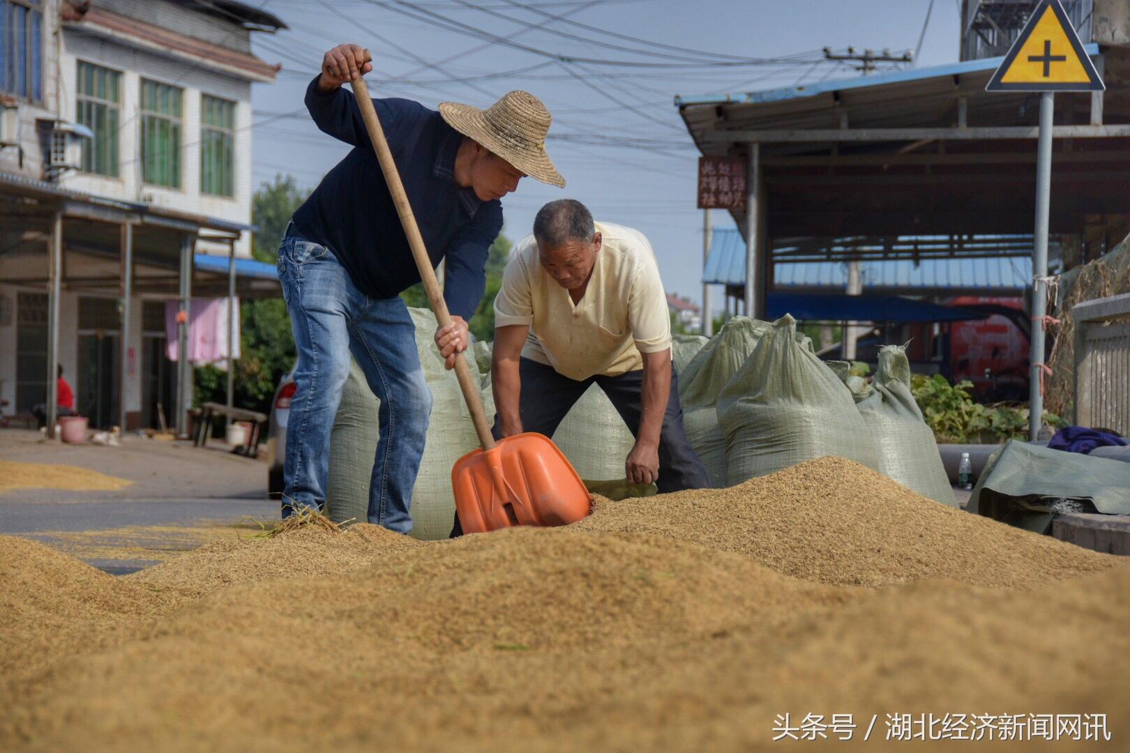 荆州市科学技术局最新动态报道