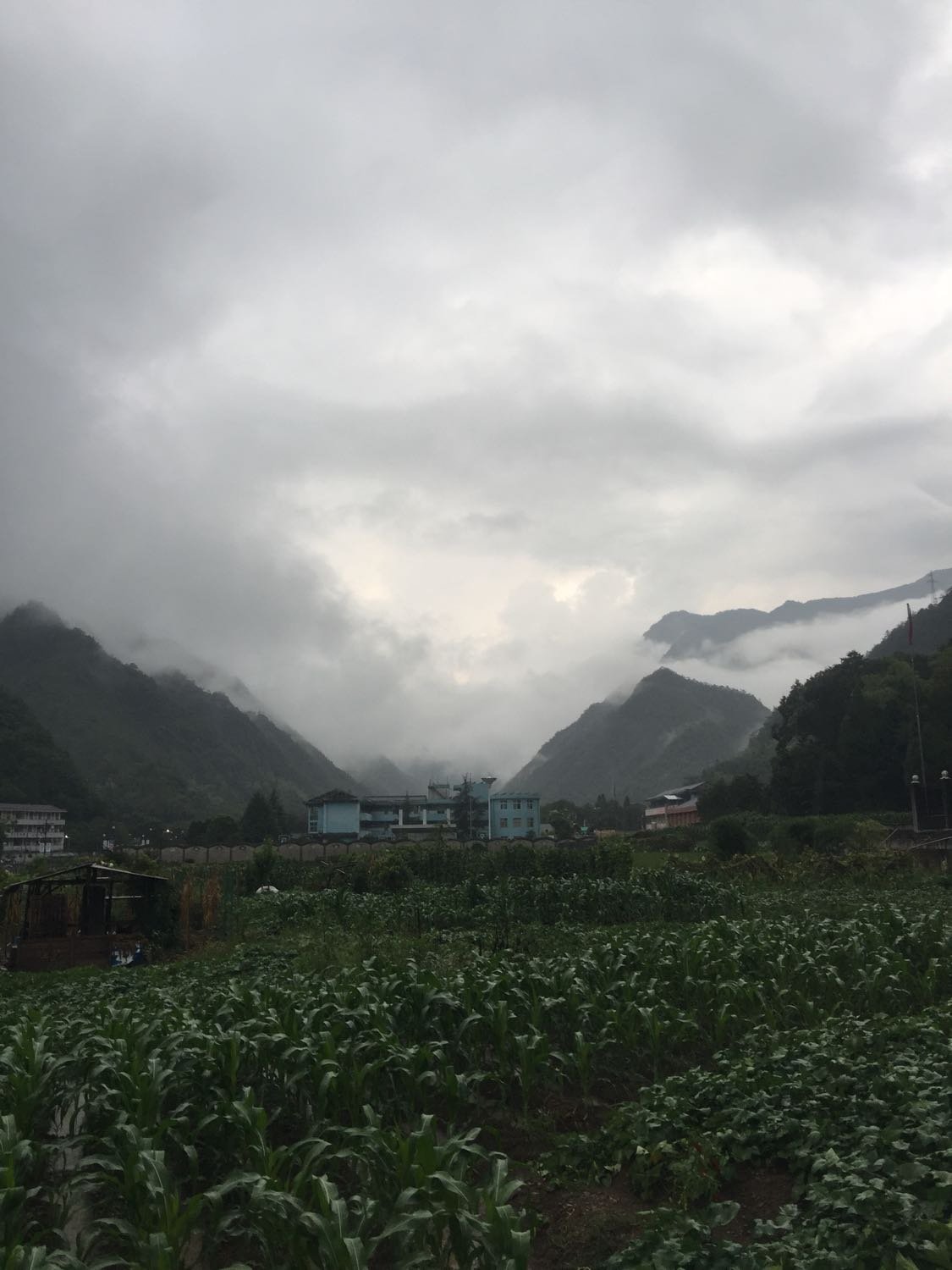 景台镇天气预报更新