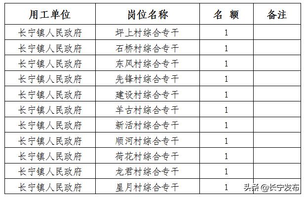 长宁区交通运输局最新招聘启事概览