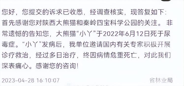 佛坪县自然资源和规划局领导团队最新概况