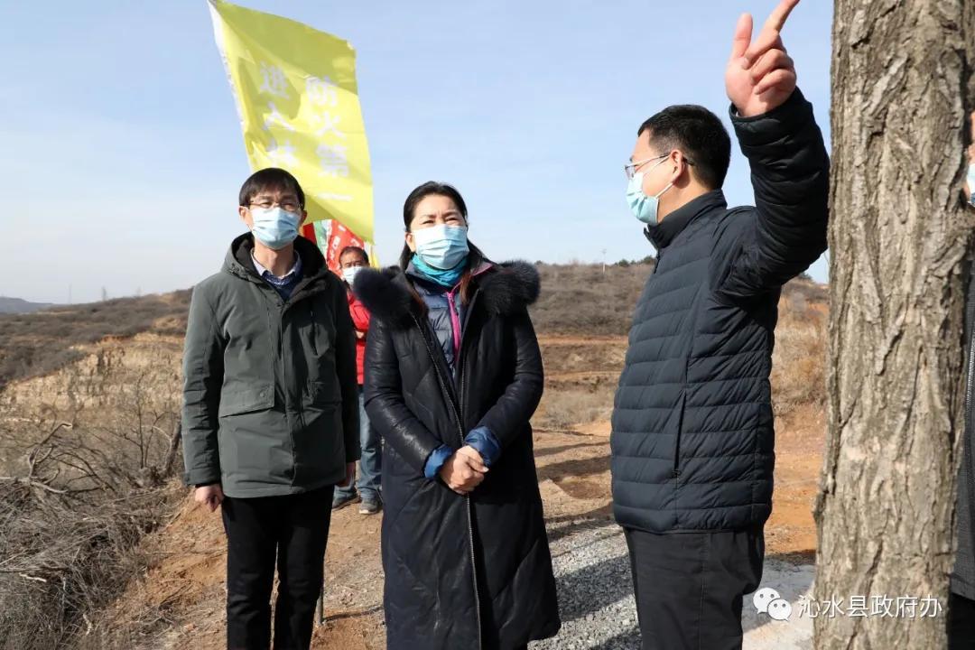 山西省晋城市沁水县固县乡发展规划展望，未来蓝图揭秘