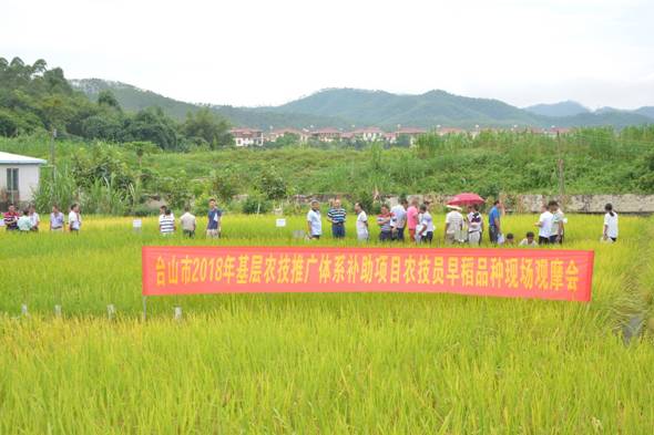 弥渡县农业农村局新项目推动农业现代化与乡村振兴深度融合发展