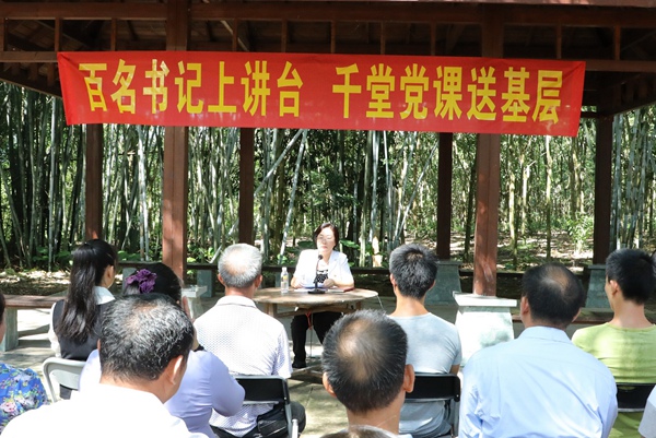 长岭村委会领导团队全新亮相，展望未来发展之路