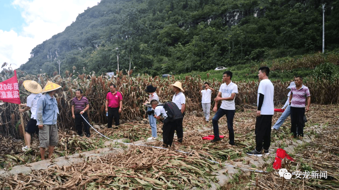 洛隆县农业农村局新项目推动农业现代化助力乡村振兴